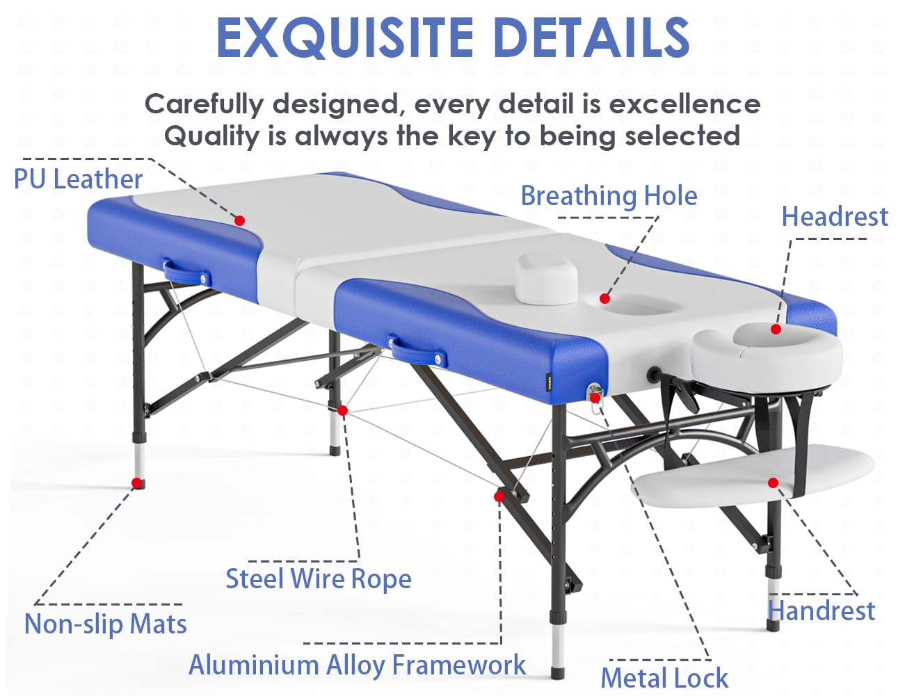 CLORIS 84" Professional Massage Table Portable 2 Folding Lightweight Facial Salon Spa Tattoo Bed Height Adjustable with Carrying Bag & Aluminium Leg Hold Up to 1000LBS - Widen