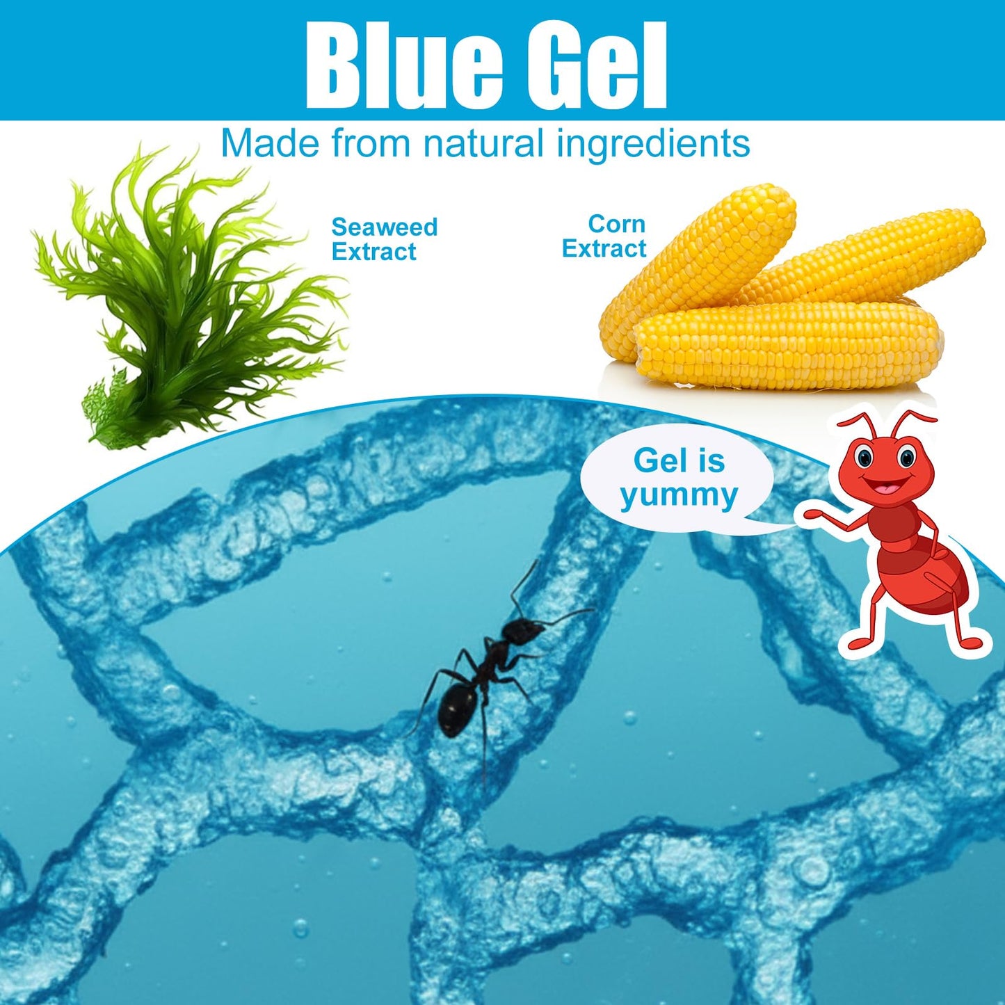 Acellegic Ant Farm Terrarium Kit Giant Ant Farm Large Viewing Area Care for Live Ants Nature Learning DIY Kit Great Gift(Classic Style,Blue)
