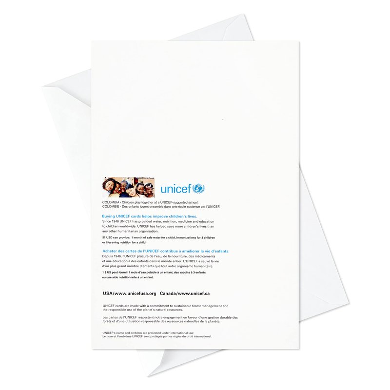 Hallmark UNICEF Boxed Christmas Cards Assortment, Wonder and Peace (12 Cards and 13 Envelopes)