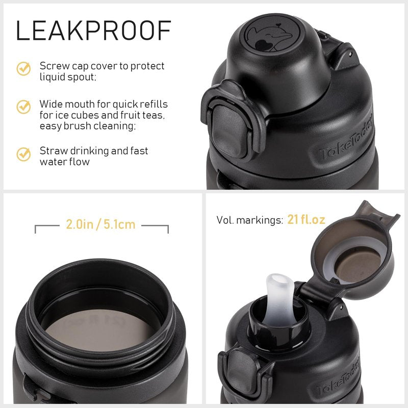 TakeToday Collapsible Water Bottles 21oz (2 pack), Foldable Platinum Silicone Travel Water Bottle with Straw & Carry Strap, Leak-Resistant Screw Lid, Wide Mouth, BPA-Free for Hiking, Camping, Travel
