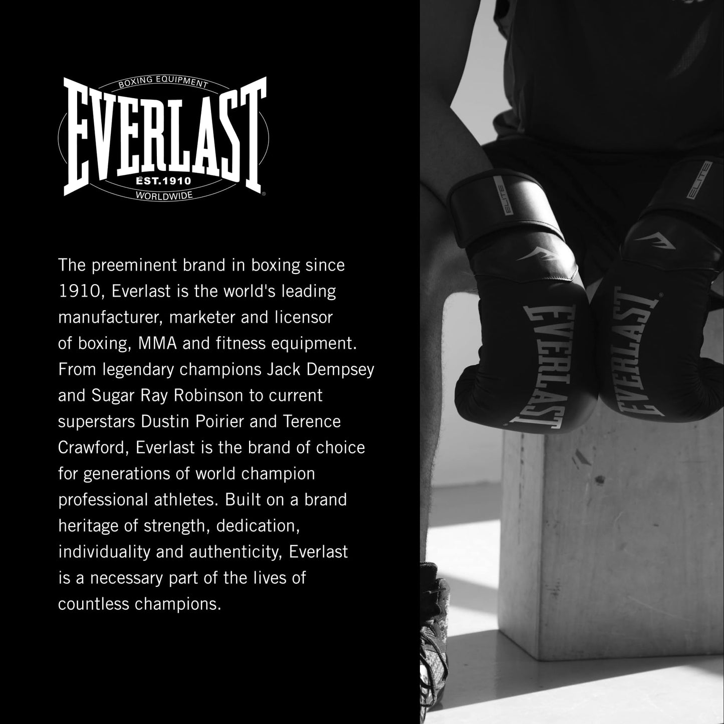 Everlast P00001266 Powercore Free Standing Indoor Rounded Heavy Duty Fitness Training Punching Bag