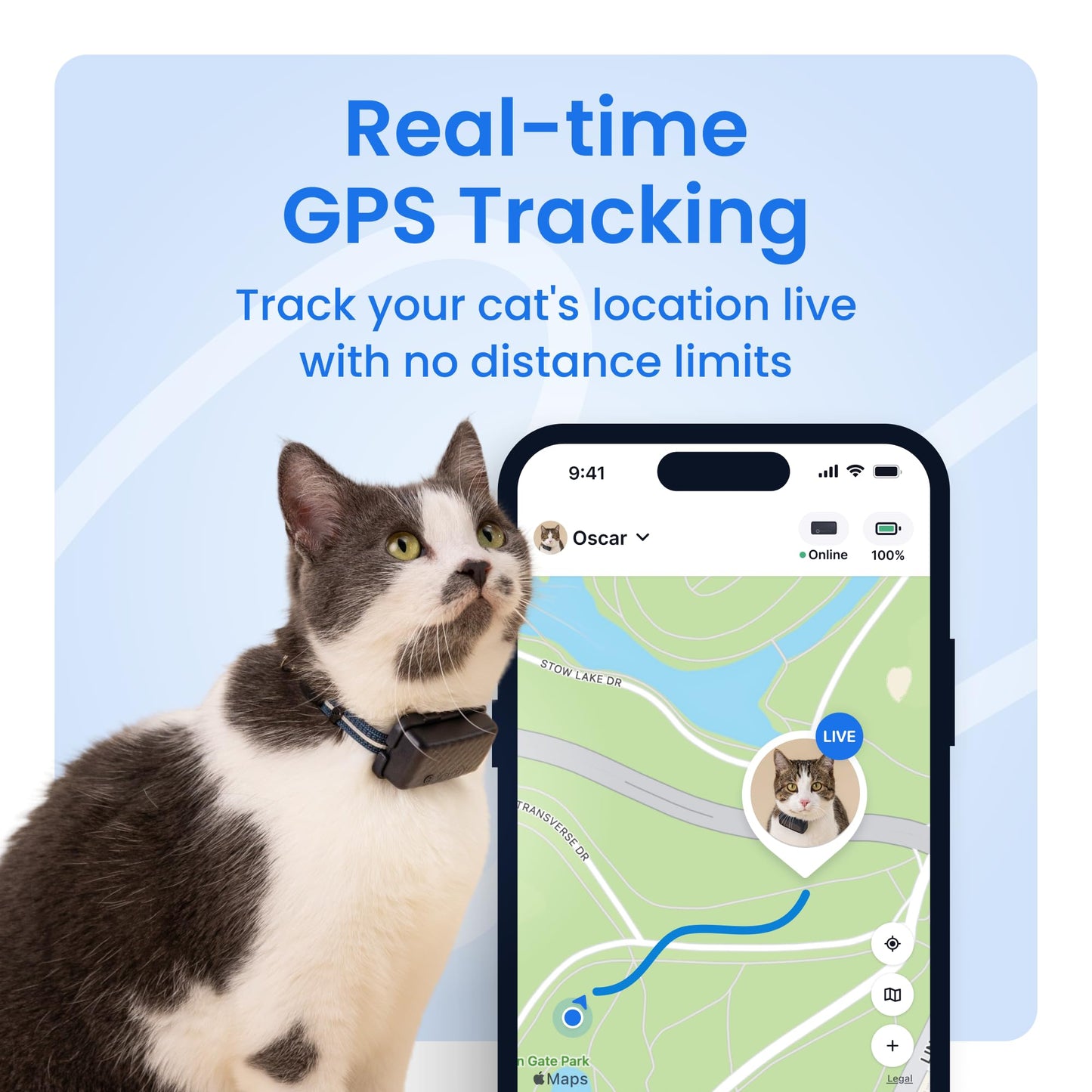 Tractive Smart Cat GPS Tracker | Real-Time Location & Wellness Monitoring for Cats 6.5 lbs+ | Territory & Location History | Up to 5-Day Battery | Breakaway Collar Included (Mint)