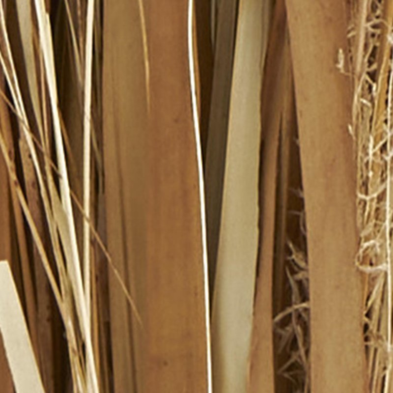 Deco 79 Dried Plant Natural Foliage, 9" x 6" x 41", Brown
