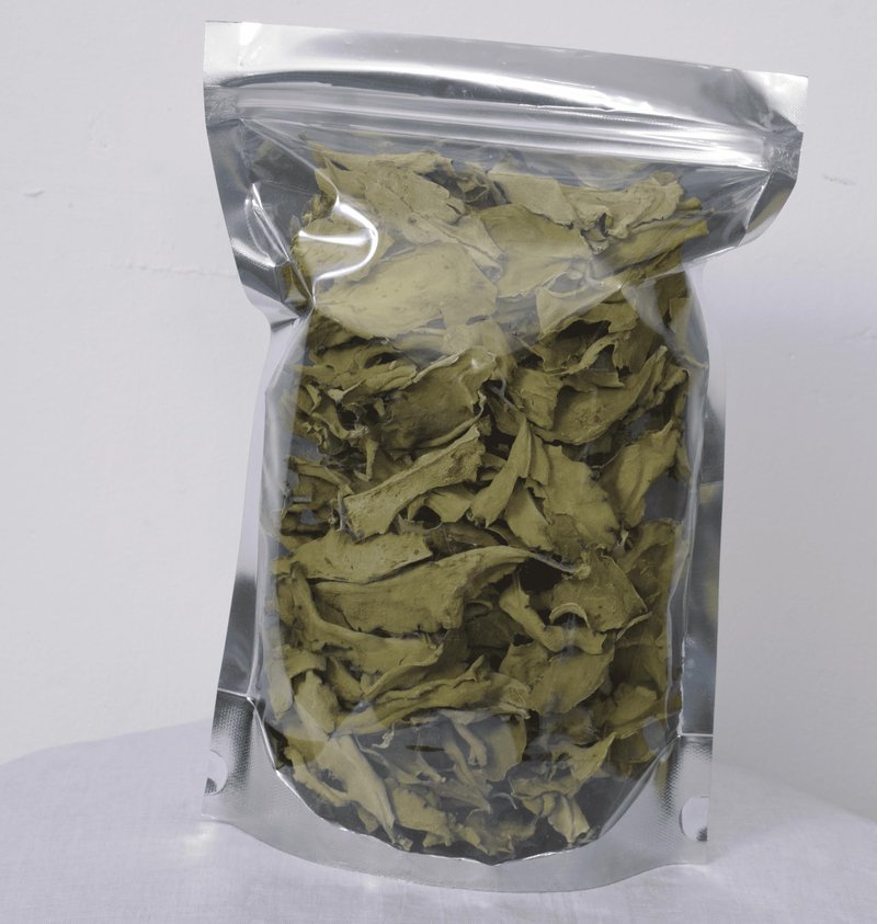AYUSH PURE 200 Kalanchoe Pinnata Leaves Leaf of Lives Miracale Plant Healthy Well Cleaned Dried Leaves Herbal Tea (200)