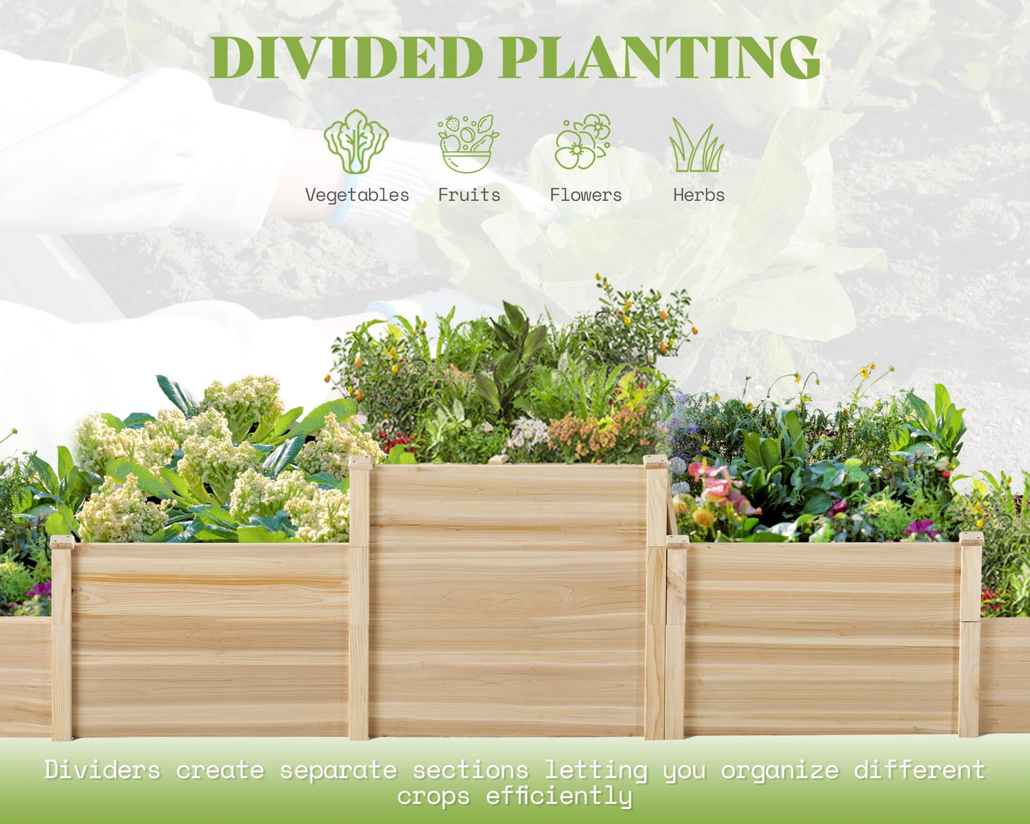SPECRAFT Raised Garden Bed 3-Tier Outdoor Planter Box, Fir Wood with Dividers, Shape Adjustable, Tool-Free Assembly, Ideal for Growing Vegetables, Herbs & Flowers