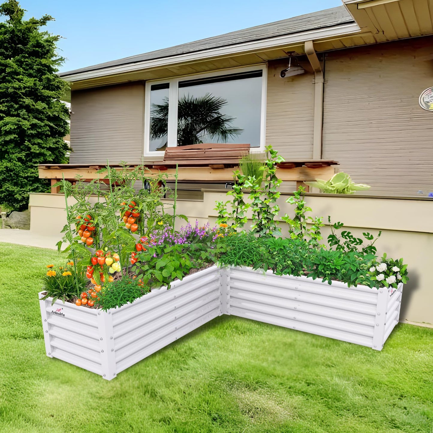 A ANLEOLIFE L-Shaped Galvanized Raised Garden Beds Outdoor,74x74x18in Large Metal Planter Box for Planting Vegetables Flowers Herb, Anti-Rust & Easy-Setup, Antique White
