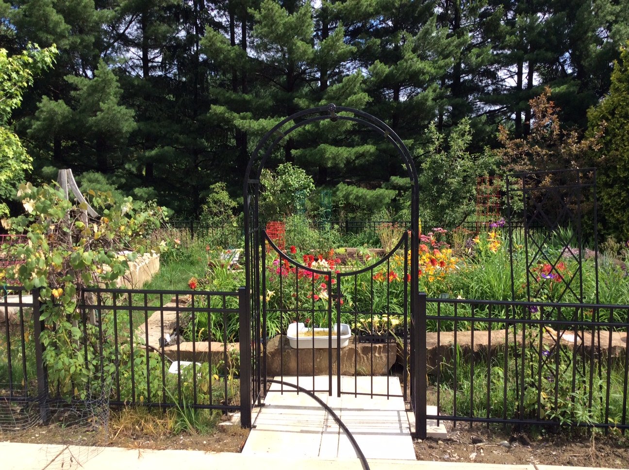 Panacea Products Arched Top Garden Arbor with Gate, Brushed Bronze