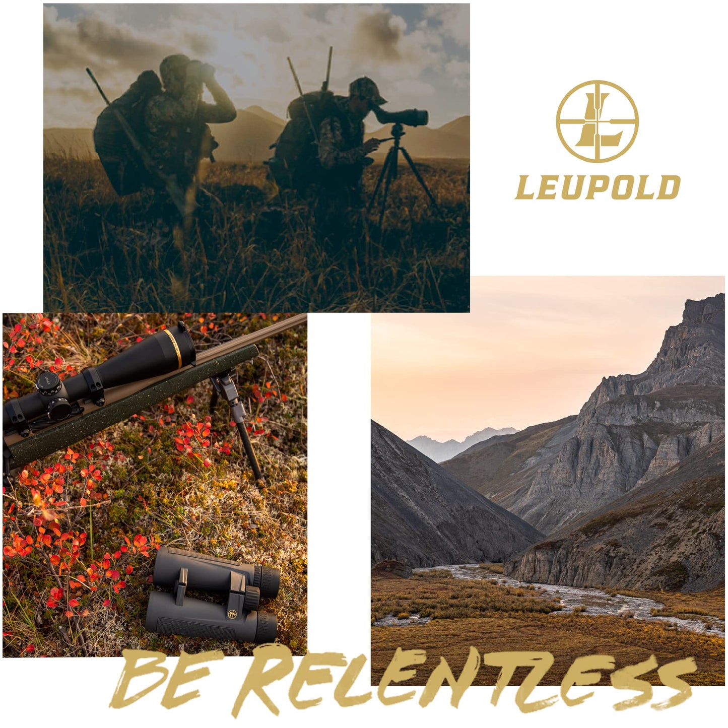 Leupold BX-2 Alpine HD Binoculars, 10x42mm (181177)