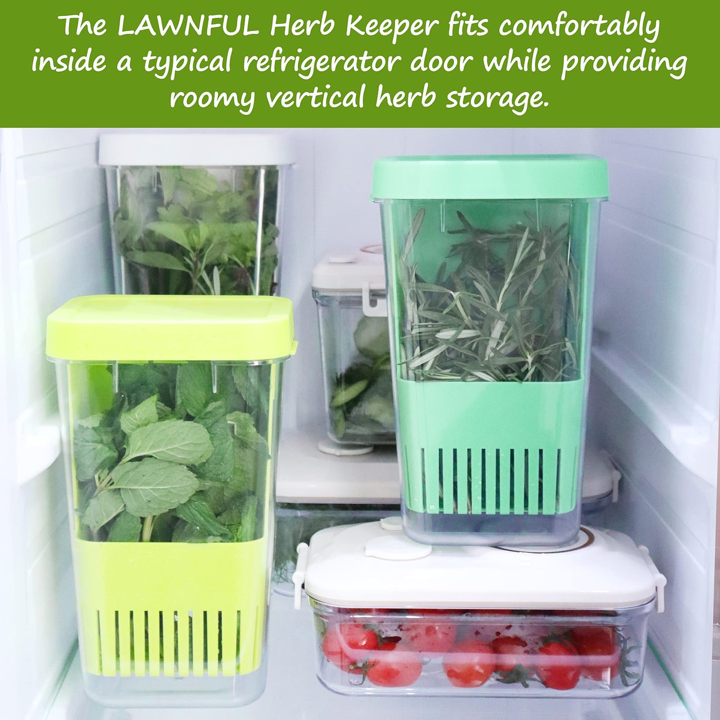 LAWNFUL 2 Pack Fresh Herb Keeper for Refrigerator, Clear BPA-Free Herb Saver, Storage Container for Cilantro, Parsley, Thyme, Mint & Asparagus, Preserver Keeps Fresh Herbs for 3 Times Longer