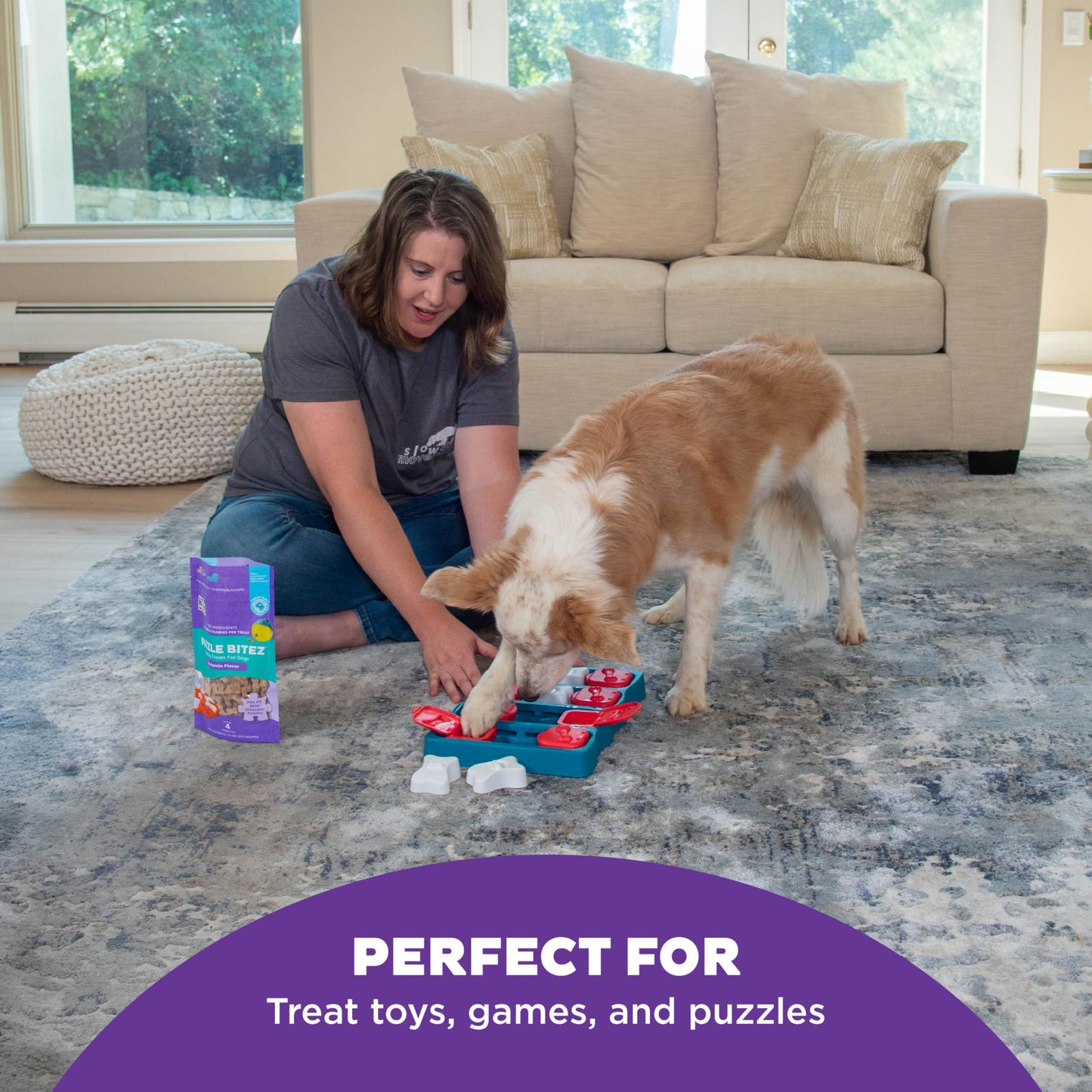 Outward Hound by Nina Ottosson Puzzle Bitez USA Made Dog Treats, Pumpkin Flavor, Bite-Sized Training Reward and Interactive Puzzle Toy Treats, 7.5oz