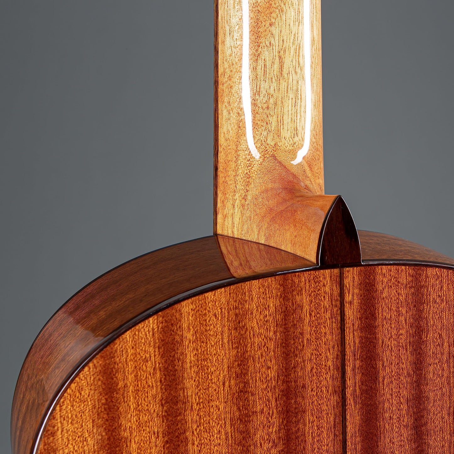 Cordoba C5 Classical w/Solid Cedar Top