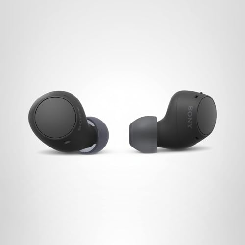 Sony WF-C510 Truly Wireless in-Ear Bluetooth Earbud Headphones with up to 22-Hour Battery, Multipoint-Connection, Mic and IPX4 Water Resistance, Black- NEW