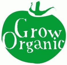 (1/4 Lb) Romaine Lettuce Seeds Bulk Non GMO