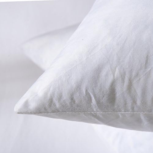 20x20 Decorative Throw Pillow Inserts-Down Feather Pillow Inserts-Square-Cotton Fabric-Set of 2-White.