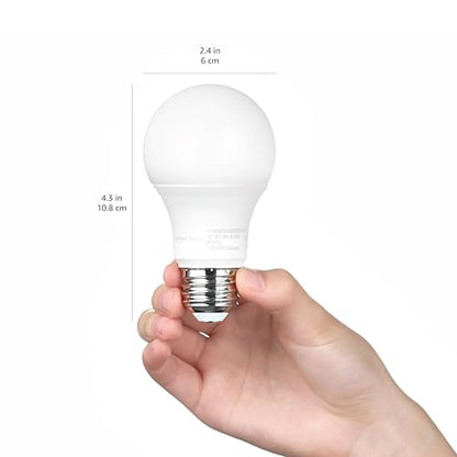 Amazon Basics A19 Dusk to Dawn Sensor LED Outdoor Light Bulb, 60W Equivalent, Energy-Efficient 9W, Daylight 5000K, E26 Base, 10,000 Hours, 2 Count (Pack of 1)