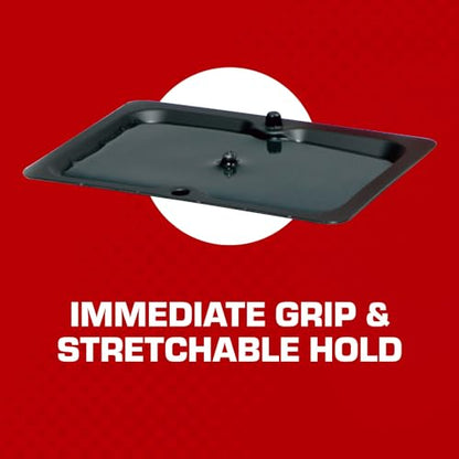 Tomcat Glue Traps Mouse Size with Eugenol for Enhanced Stickiness for Mice, Cockroaches, and Spiders, 6 Traps
