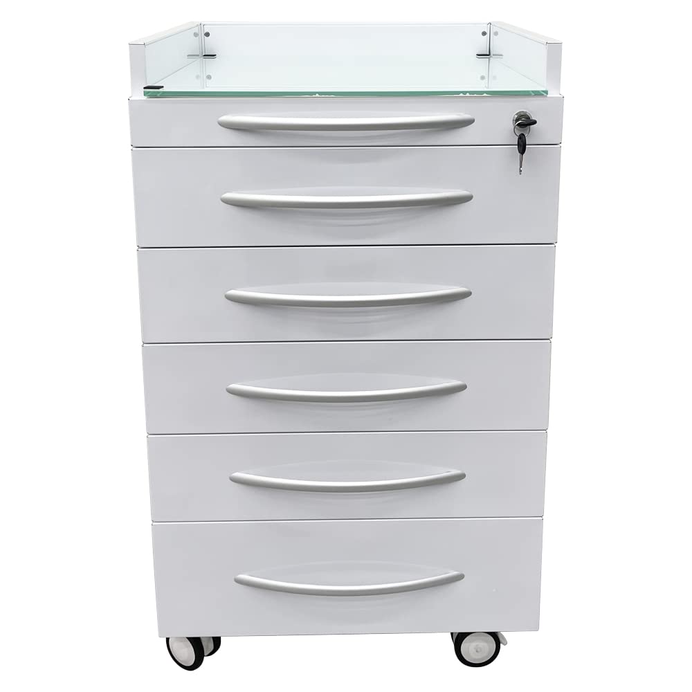 EQCOTWEA Vertical Mobile Dental Cart with Lock 5-Drawer Stainless Steel Medical Storage Cabinet on Rolling Wheels with Brakes Portable Utility Cart for Dental Assistant Hospital Clinic Office Home Use