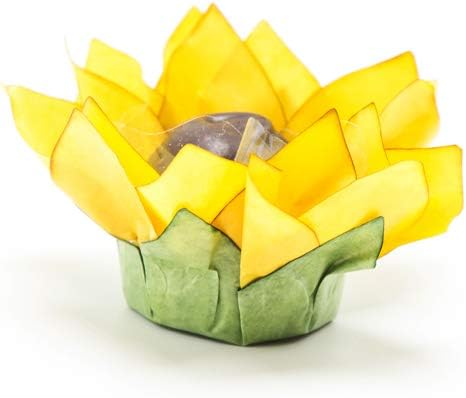 Truffilio Handmade Paper Truffle Cups | Candy Liners for Chocolate | Truffle Wrappers - Pack of 20 (Paper, Sunflower)