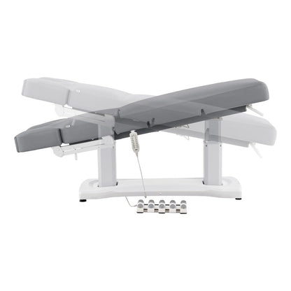 Full Electric Medical Spa Treatment Massage Table Facial Beauty Bed TRANQUILITY