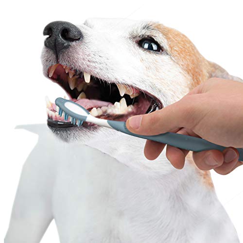 Nylabone Advanced Oral Care Dog Dental Kit Original Flavor 2.5 oz.