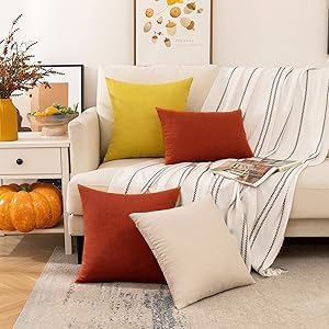Woaboy Set of 2 Burnt Orange Outdoor Waterproof Throw Pillow Covers, Decorative Farmhouse Cushion Cases, 18x18 Inch