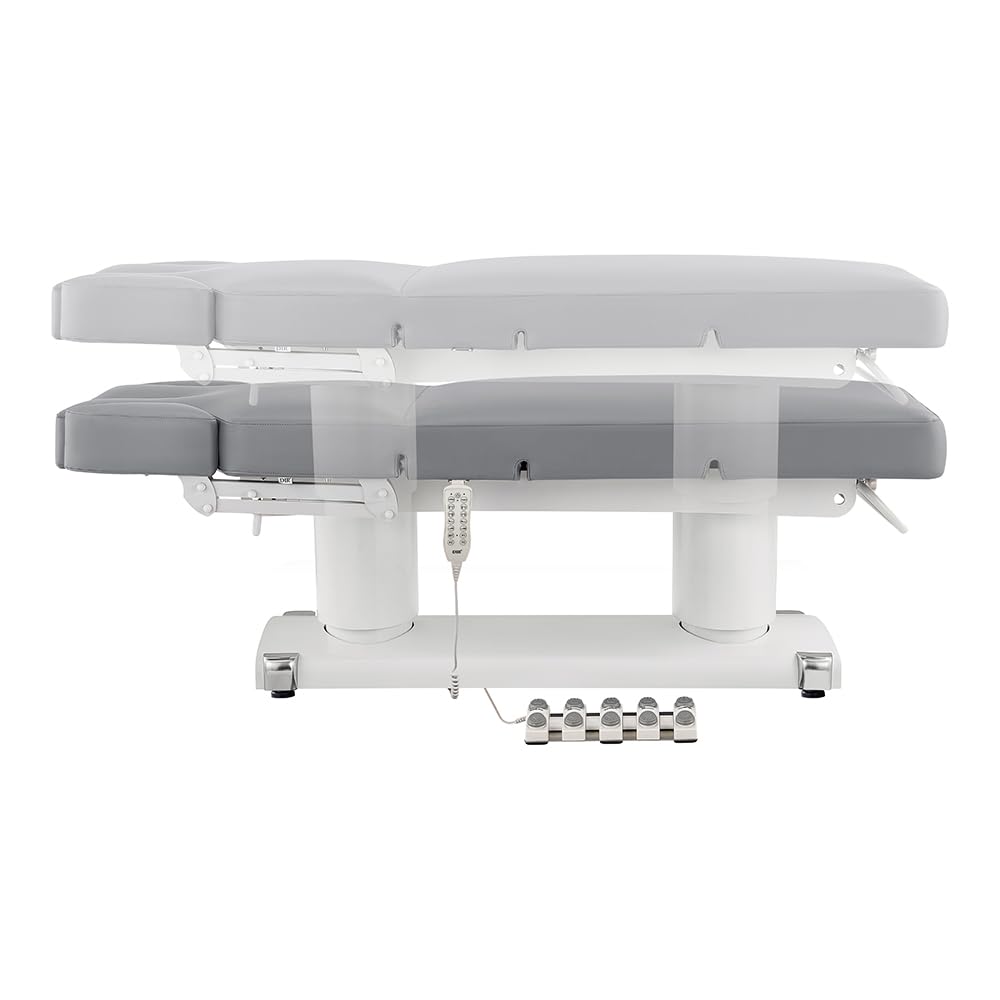 Dir Full Electric Medical Spa Treatment Massage Table Facial Beauty Bed LUXI in Grey