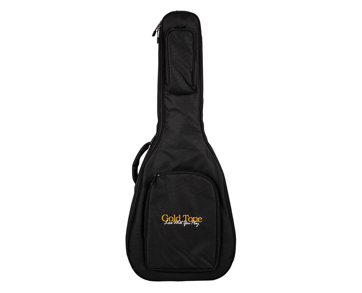 Gold Tone Acoustic-Electric All Solid Wood Guitar with Bag - Satin Natural