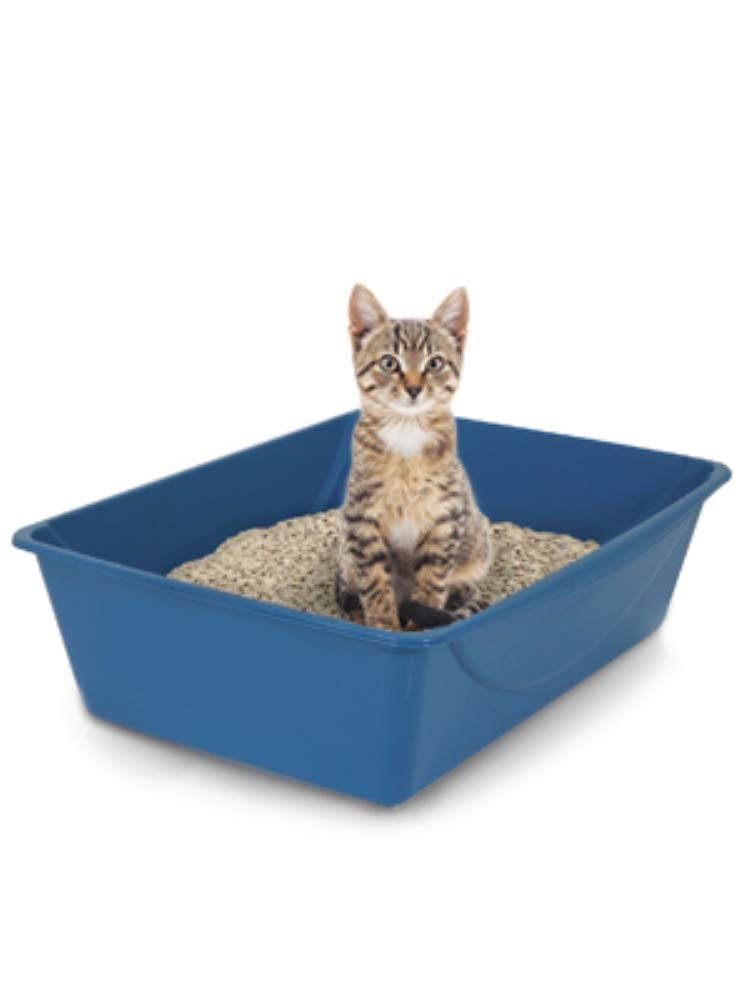 Petmate Litter Pan, Blue/Gray, Small, Made in USA