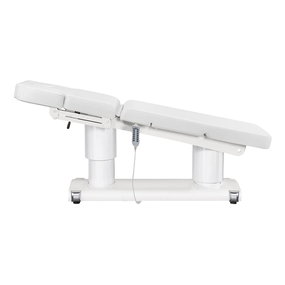 Dir Full Electric Medical Spa Treatment Massage Table Facial Beauty Bed Medical Examination Bed LUXI