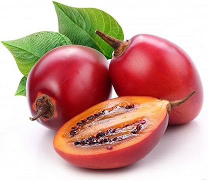 Noah's Seed Depository 35 Tamarillo Tree Tomato Tamamoro Tomate de Arbol Seeds PCS