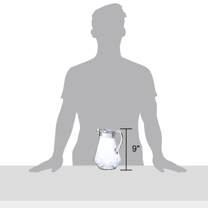 Amazing Abby - Sparkly - Plastic Pitcher (64 oz, 2 Quart), Clear Water Pitcher with Lid, Fridge Jug, BPA-Free, Shatter-Proof, Great for Iced Tea, Sangria, Lemonade, Juice, Milk, and More