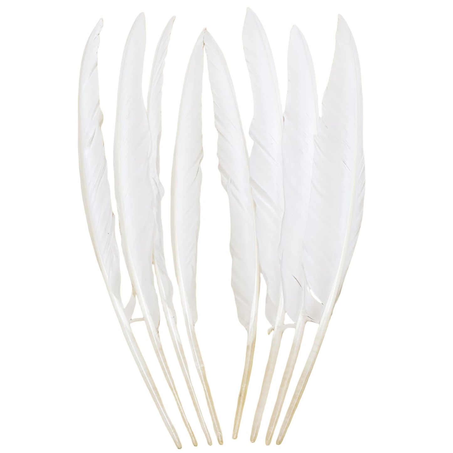 Natural Goose Feathers,Bulk 50 pcs Long 10-12Inch (25-30cm) White Feathers for Crafts,Mardi Gras Decorations,Angel Wings,DIY Handicrafts,Feather Decoration Accessories (Pure White)