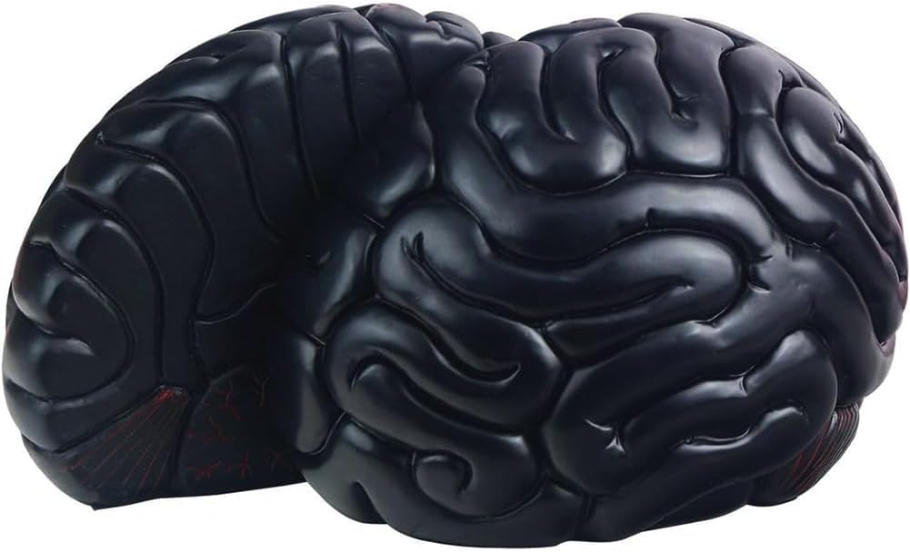 6.5Inch Set Brain Bookends, Tall Brain Decorative Resin Book Shelf Organizers Book Holders Shelf Dividers Book Ends
