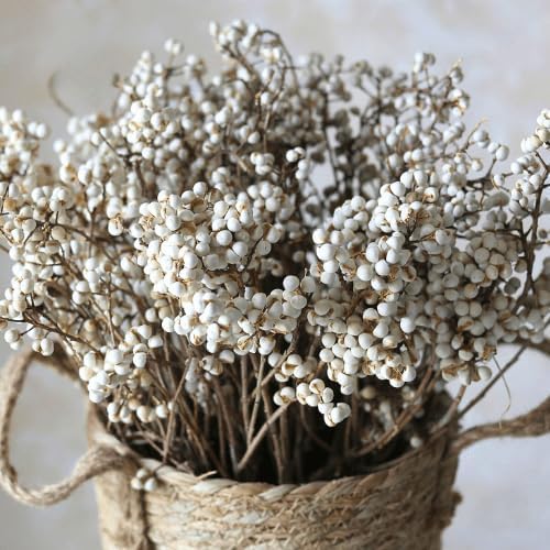 220g 17" 2 Tallow Berries Dried Christmas Decor- Natural Stem Wedding Floral Decor, White Holly Tallow Berries, Bundles