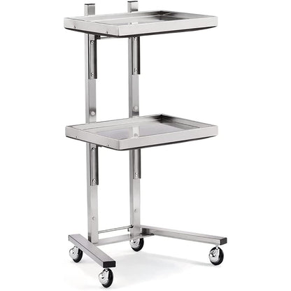 ZGFUSVFD 2-Tier Metal Rolling Cart, Stainless Steel Salon Storage Stand with Wheels Trolley Tray Storage Cart Kitchen Storage Trolley Utility for Bedroom Tattoo Shop, Silver