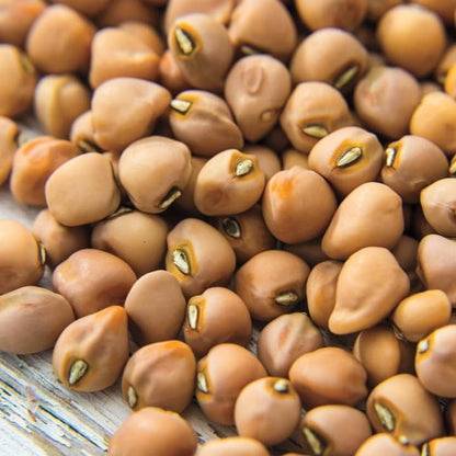 150+ Count 2026 TomorrowSeeds - Top Pick Brown Crowder Cowpea Seeds - - for Planting Non-GMO USA Vegetable Pink Red