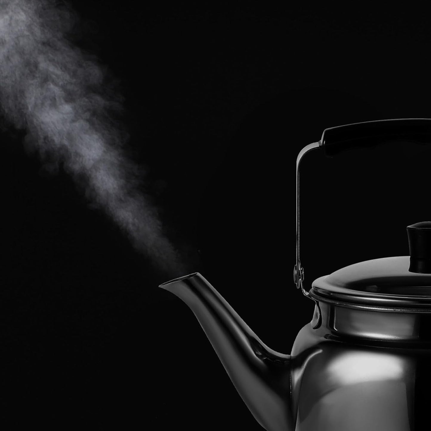 Lurrose 1.5QT Whistling Tea Kettle, Stainless Steel Teakettle with Cool Grip Handle for Stovetop