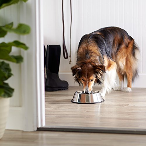 Amazon Basics Stainless Steel Non-Skid Dog Bowl, Dishwasher Safe, Rust Resistant, Single