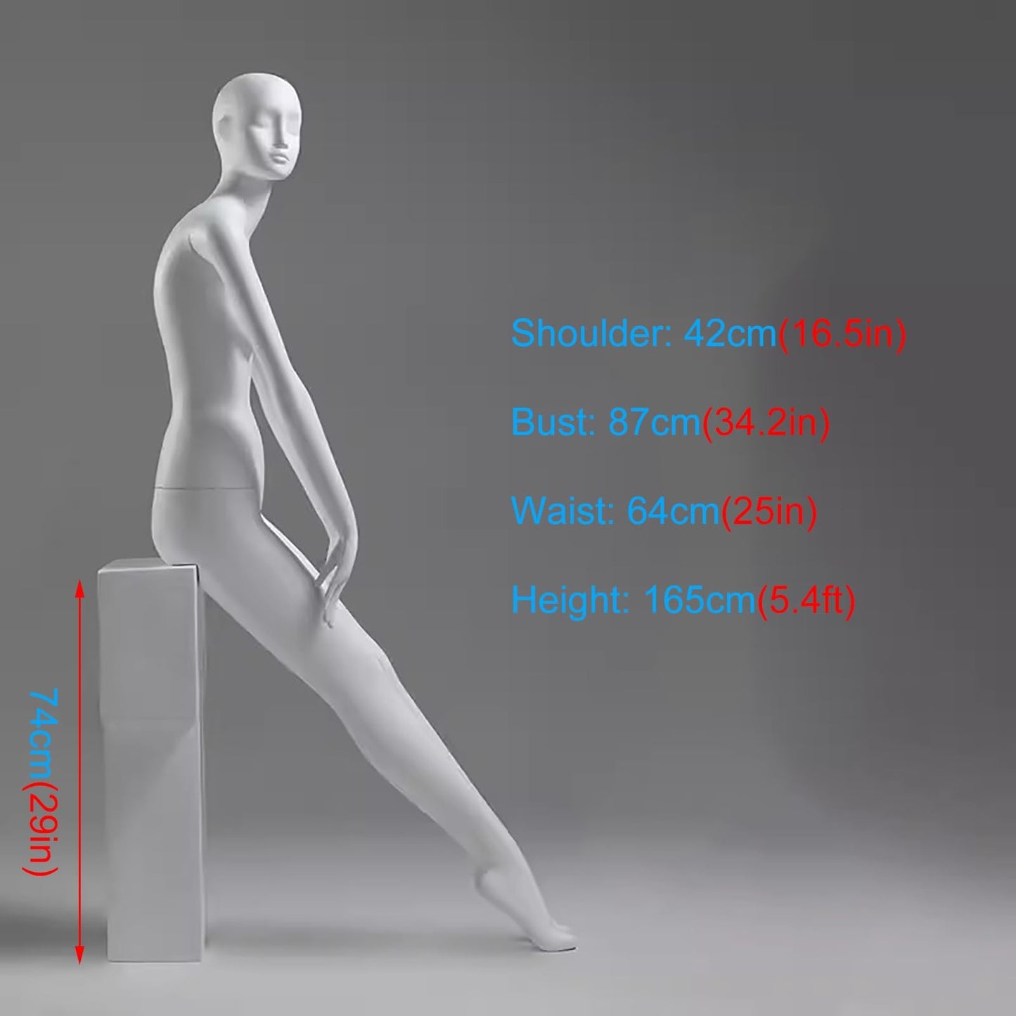 Tall Matte White Female Mannequin with Head - Detachable Dress Form Dummy for Retail, Online Shop & Home Display - Ideal Torso Body for Fashion Styling (Size: Style 1)