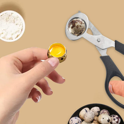 XINMEIWEN 10Pack Stainless Steel Quail Egg Cutter Scissors Quail and Pigeon Egg Cutter Tool Quail Scissors Opener Quail Egg Cracker for Home Kitchen (Black)