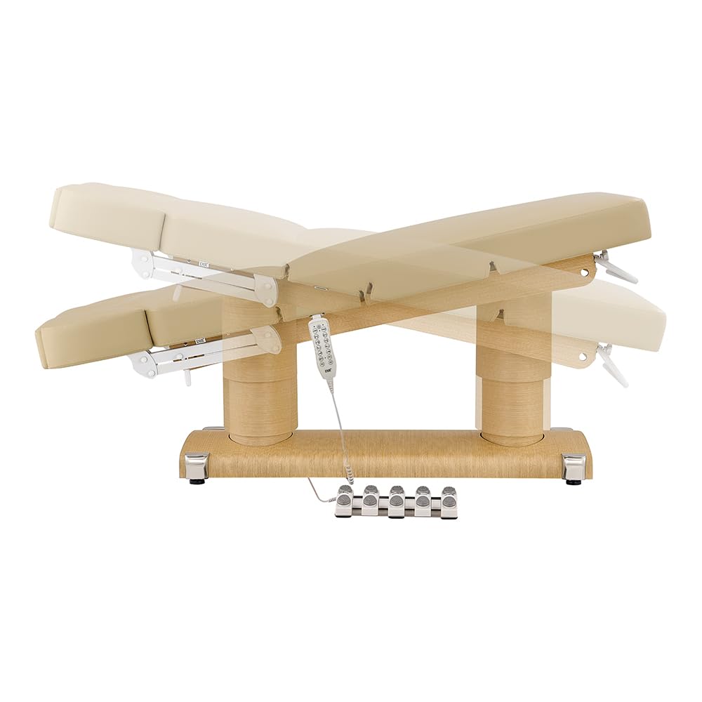 Dir Medical Spa Wellness Bed Full Electrical Beauty Spa Massage Bed with Extra Thick Padding LUXI