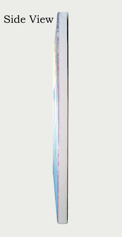 African Lion and Lioness Picture on Stretched Canvas Wall Art Décor, Ready to Hang