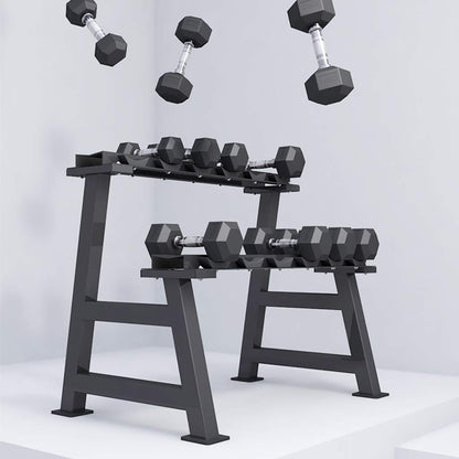 Dumbbell Racks Dumbbell Set with Stand, 2-Layers Dumbbell Rack, Home Weights Storage Rack, Compact Dumbbell Bracket, Easy to Install, Load Bearing 200 KG (Color : Dumbbell Set, Size : 165KG)