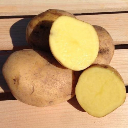 Unknown 5 Lb, Yukon Gold Potato Seed/Tubers, Yellow-Flesh Standard, United States