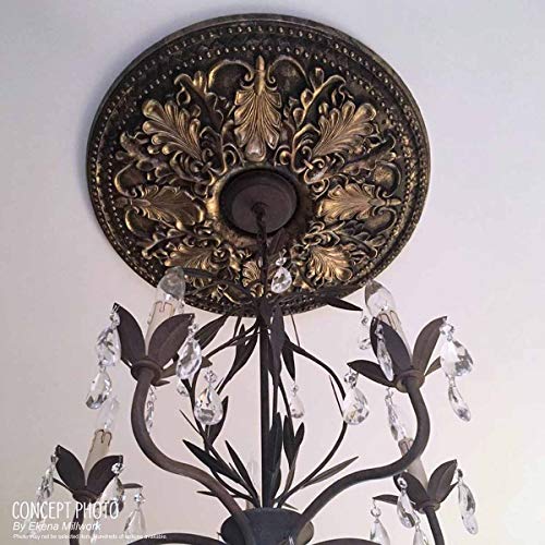 Ekena Millwork CM22RB 22 1/4-Inch OD x 4 3/4-Inch ID Robin Ceiling Medallion