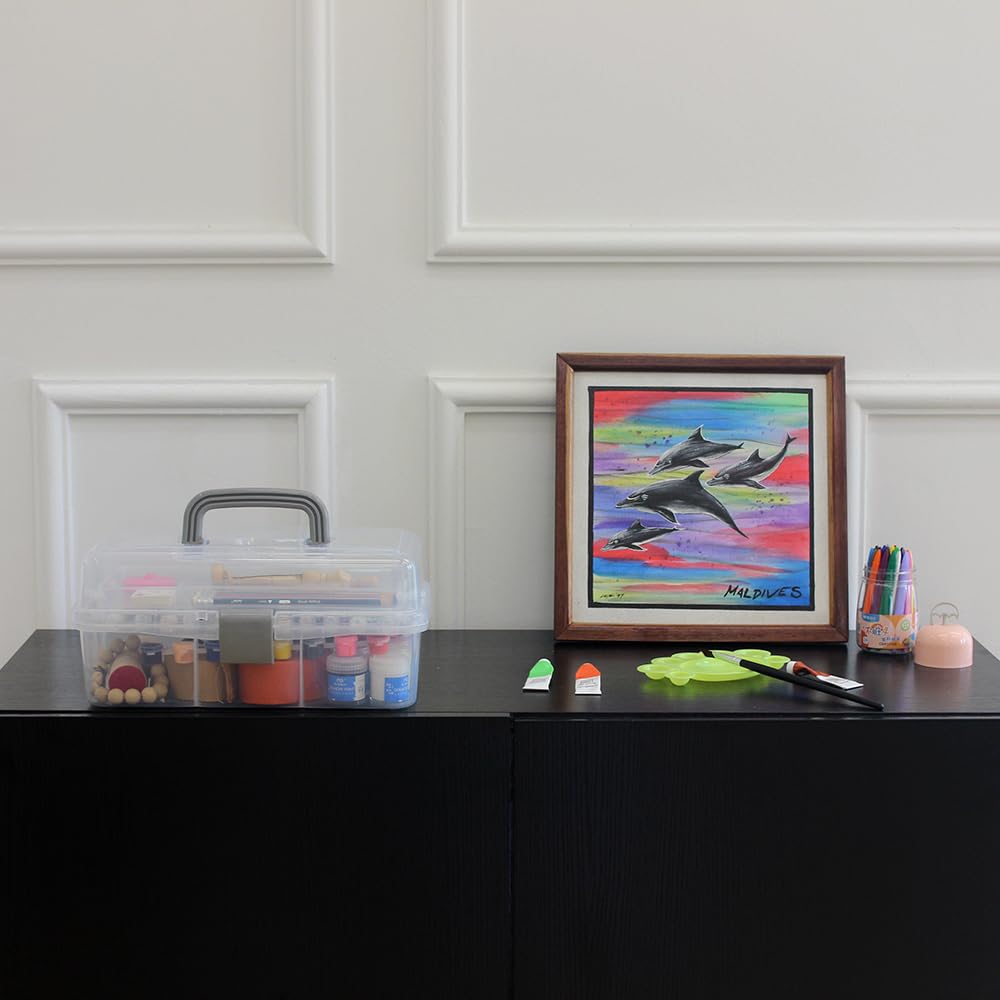 BangQiao 2-Tier Trays Clear Gray Plastic Storage Container Organizer Box, Multipurpose Portable Carrying Case with Latch Lock and Handle for Art, Craft, Sewing Supplies, First Aid, Makeup
