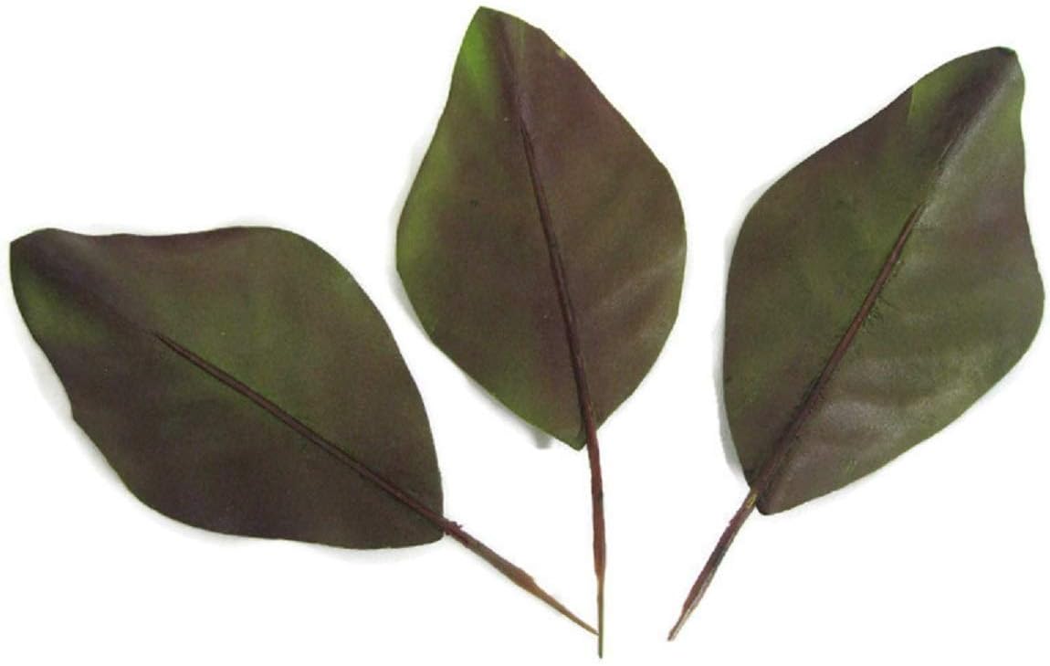 Artificial Magnolia Leaves Pack of 30