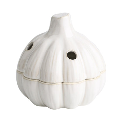 LUOBEIYAOHL ceramic garlic keeper with lid terracotta storage container jar saver holder countertop