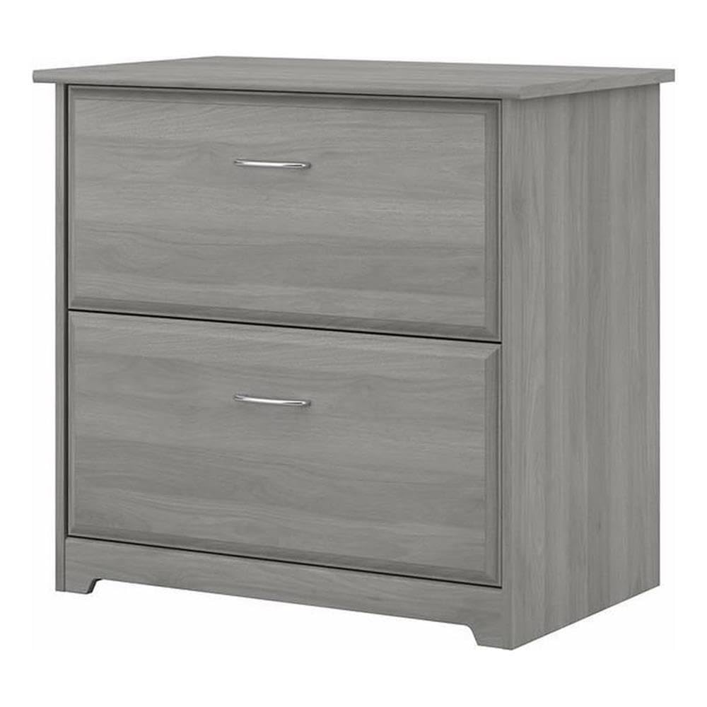 UrbanPro 2 Drawer Lateral File Cabinet, 32W x 20D x 30H, Engineered Wood, Modern Gray Finish, Full-Extension Ball Bearing Slides, Supports Legal/Letter/A4 Documents, Home Office Filing Storage