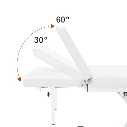 Dolonm 2 Motors Electric Massage Table, Hydraulic Electric Lift Adjustable Waist and Height Lifting Functions for Treatment, Physical Therapy, Spinal Massage, Facial Spa, Waxing, Tattooing - White